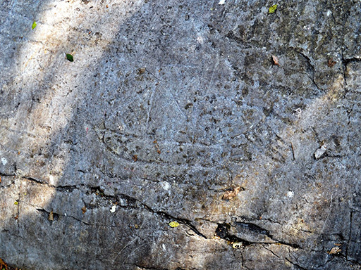 Rock engravings on Mount Luppia