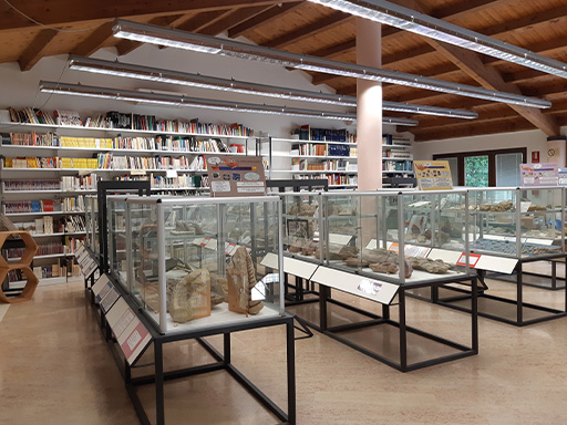 Attilio Fedrigo Museum für Paläontologie und territorialen Ursprung